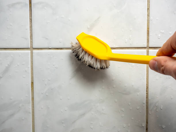 Best Residential Mold Remediation in Jacksboro, TX