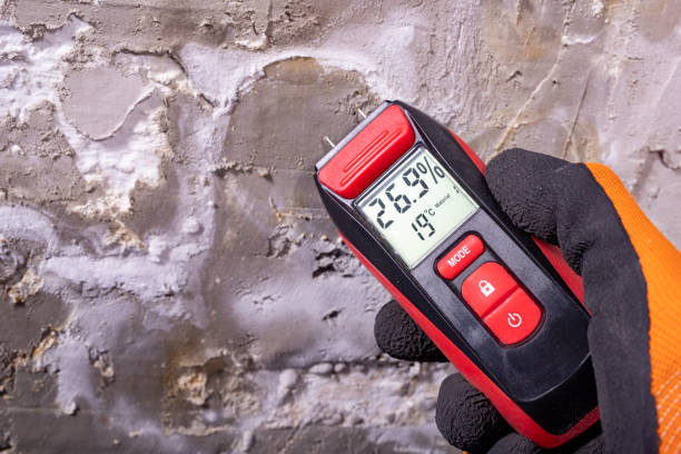 Best Post-Remediation Services in Jacksboro, TX